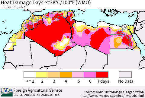North Africa Heat Damage Days >=38°C/100°F (WMO) Thematic Map For 7/25/2022 - 7/31/2022