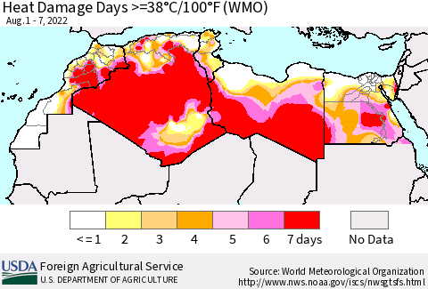 North Africa Heat Damage Days >=38°C/100°F (WMO) Thematic Map For 8/1/2022 - 8/7/2022
