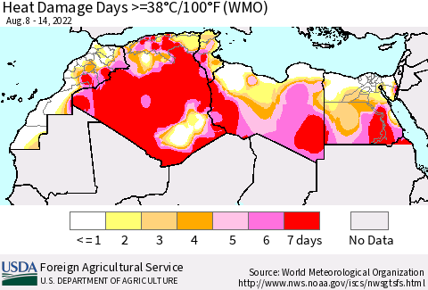 North Africa Heat Damage Days >=38°C/100°F (WMO) Thematic Map For 8/8/2022 - 8/14/2022
