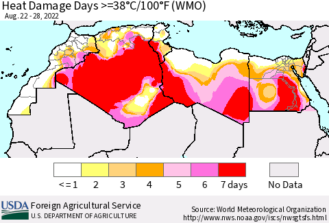 North Africa Heat Damage Days >=38°C/100°F (WMO) Thematic Map For 8/22/2022 - 8/28/2022