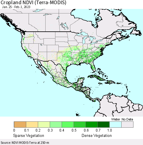North America Cropland NDVI (Terra-MODIS) Thematic Map For 1/25/2023 - 2/1/2023
