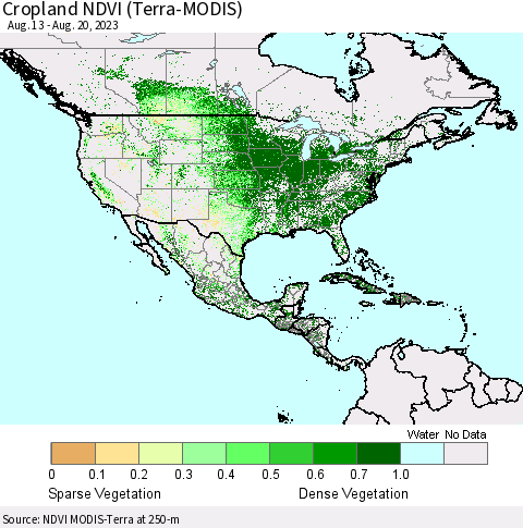 North America Cropland NDVI (Terra-MODIS) Thematic Map For 8/13/2023 - 8/20/2023