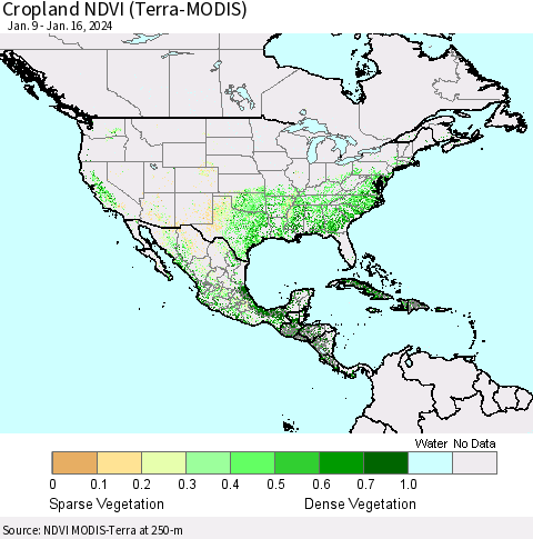 North America Cropland NDVI (Terra-MODIS) Thematic Map For 1/9/2024 - 1/16/2024