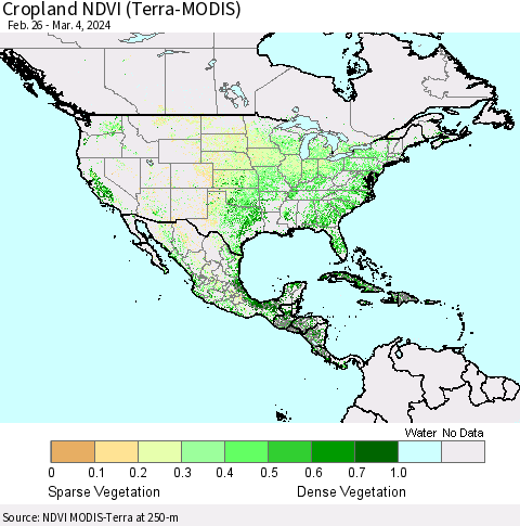 North America Cropland NDVI (Terra-MODIS) Thematic Map For 2/26/2024 - 3/4/2024