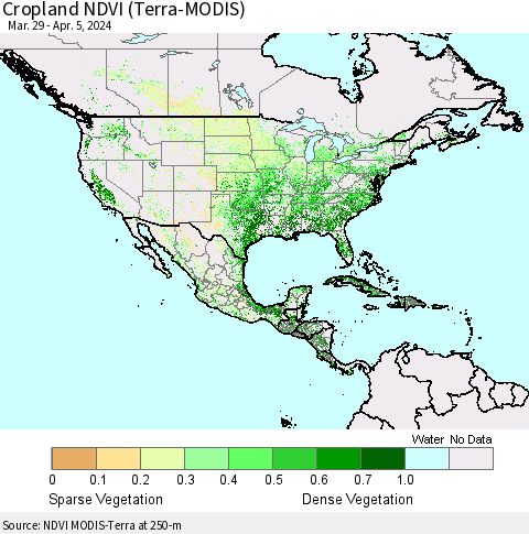 North America Cropland NDVI (Terra-MODIS) Thematic Map For 3/29/2024 - 4/5/2024