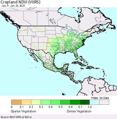 North America Cropland NDVI (VIIRS) Thematic Map For 1/9/2023 - 1/16/2023