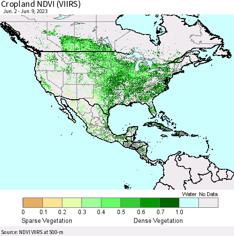 North America Cropland NDVI (VIIRS) Thematic Map For 6/2/2023 - 6/9/2023
