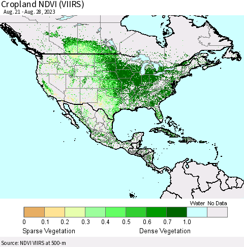 North America Cropland NDVI (VIIRS) Thematic Map For 8/21/2023 - 8/28/2023