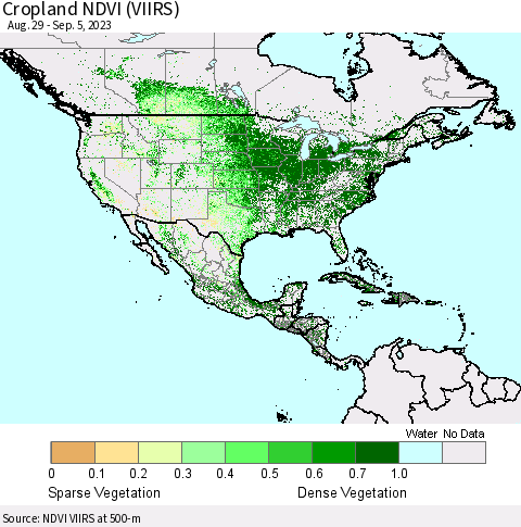 North America Cropland NDVI (VIIRS) Thematic Map For 8/29/2023 - 9/5/2023