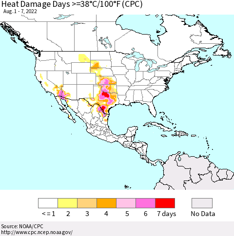 North America Heat Damage Days >=38°C/100°F (CPC) Thematic Map For 8/1/2022 - 8/7/2022
