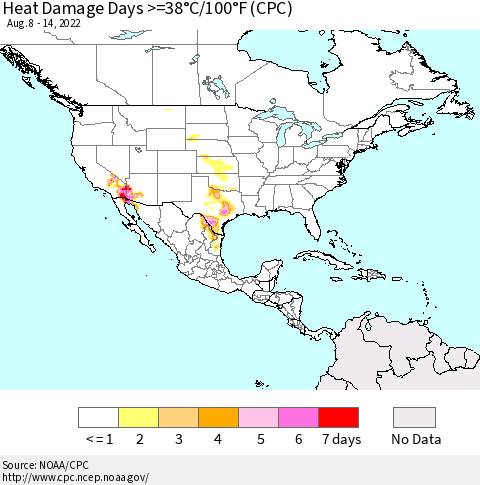 North America Heat Damage Days >=38°C/100°F (CPC) Thematic Map For 8/8/2022 - 8/14/2022