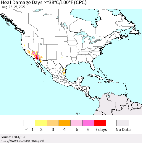 North America Heat Damage Days >=38°C/100°F (CPC) Thematic Map For 8/22/2022 - 8/28/2022