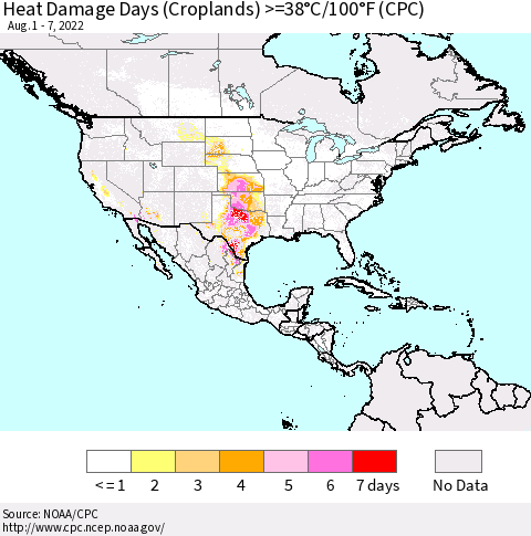 North America Heat Damage Days (Croplands) >=38°C/100°F (CPC) Thematic Map For 8/1/2022 - 8/7/2022
