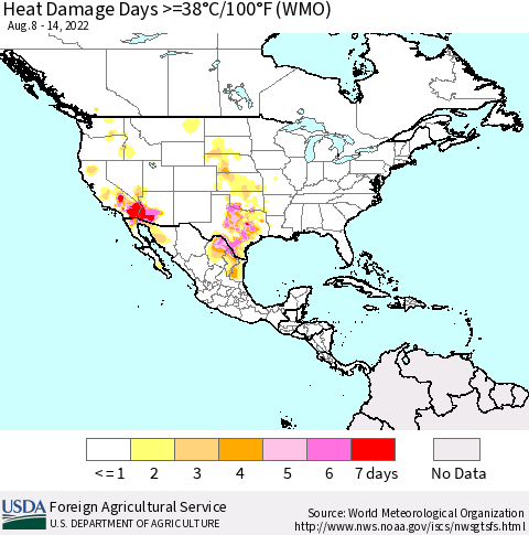 North America Heat Damage Days >=38°C/100°F (WMO) Thematic Map For 8/8/2022 - 8/14/2022