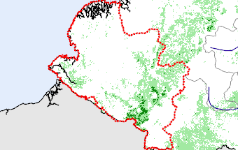 Nariño