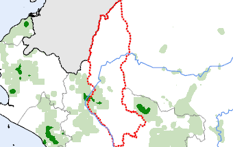 Amazonas