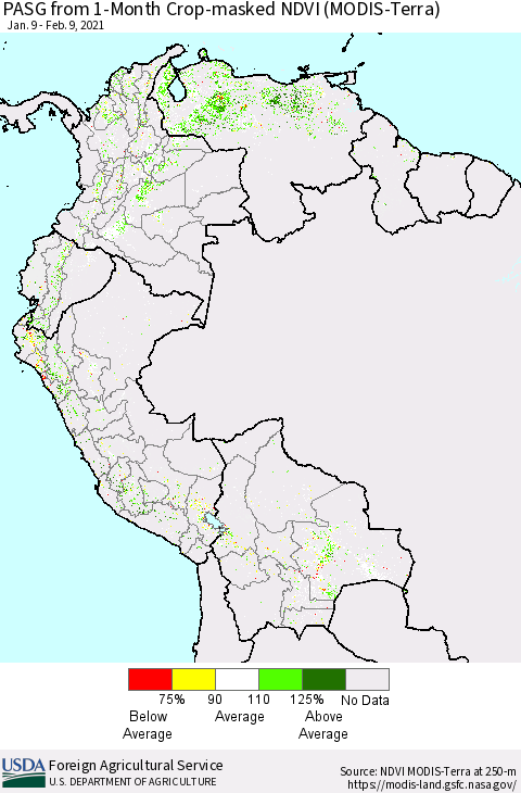 Northern South America PASG from 1-Month Cropland NDVI (Terra-MODIS) Thematic Map For 2/1/2021 - 2/10/2021