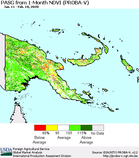 Papua New Guinea PASG from 1-Month NDVI (PROBA-V) Thematic Map For 2/1/2020 - 2/10/2020