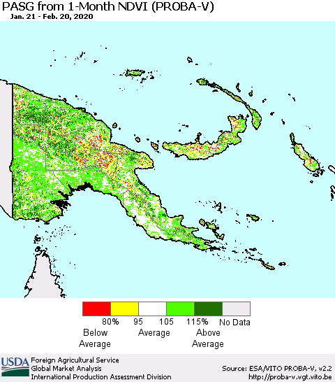 Papua New Guinea PASG from 1-Month NDVI (PROBA-V) Thematic Map For 2/11/2020 - 2/20/2020