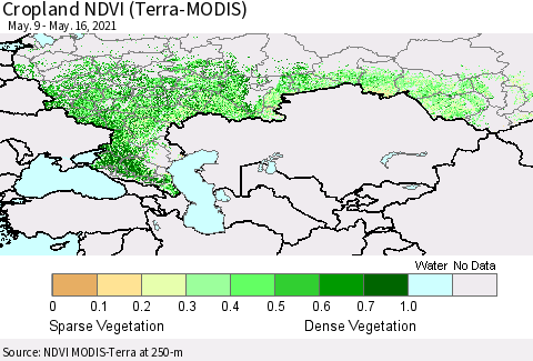 Russian Federation Cropland NDVI (Terra-MODIS) Thematic Map For 5/9/2021 - 5/16/2021