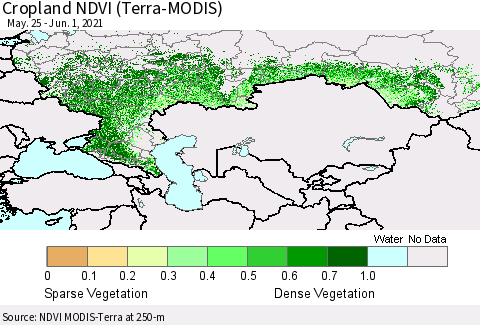 Russian Federation Cropland NDVI (Terra-MODIS) Thematic Map For 5/25/2021 - 6/1/2021