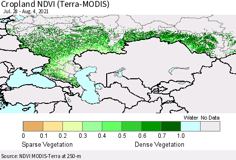 Russian Federation Cropland NDVI (Terra-MODIS) Thematic Map For 7/28/2021 - 8/4/2021