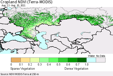 Russian Federation Cropland NDVI (Terra-MODIS) Thematic Map For 8/13/2021 - 8/20/2021