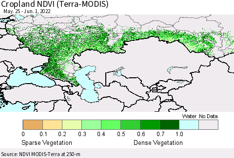 Russian Federation Cropland NDVI (Terra-MODIS) Thematic Map For 5/25/2022 - 6/1/2022