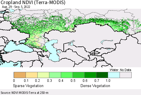Russian Federation Cropland NDVI (Terra-MODIS) Thematic Map For 8/29/2022 - 9/5/2022