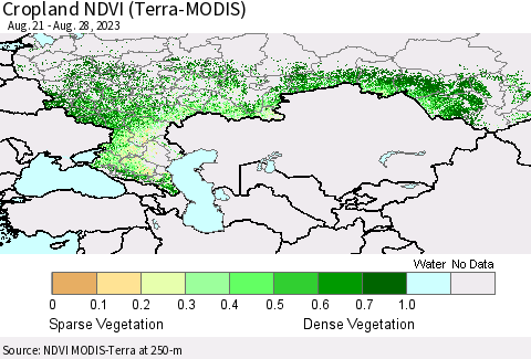 Russian Federation Cropland NDVI (Terra-MODIS) Thematic Map For 8/21/2023 - 8/28/2023