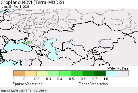 Russian Federation Cropland NDVI (Terra-MODIS) Thematic Map For 1/25/2024 - 2/1/2024