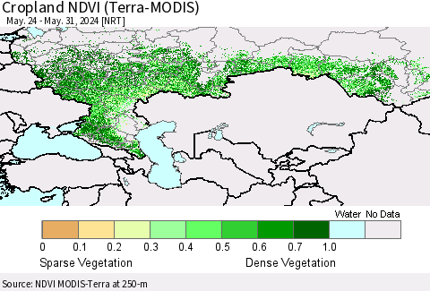 Russian Federation Cropland NDVI (Terra-MODIS) Thematic Map For 5/24/2024 - 5/31/2024