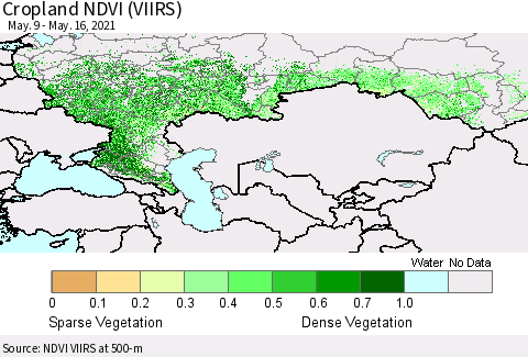Russian Federation Cropland NDVI (VIIRS) Thematic Map For 5/9/2021 - 5/16/2021