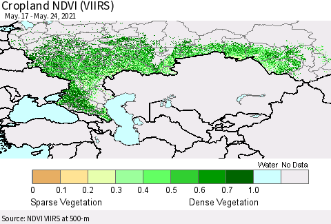 Russian Federation Cropland NDVI (VIIRS) Thematic Map For 5/17/2021 - 5/24/2021