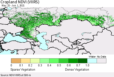 Russian Federation Cropland NDVI (VIIRS) Thematic Map For 5/25/2021 - 6/1/2021