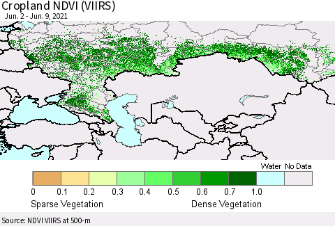 Russian Federation Cropland NDVI (VIIRS) Thematic Map For 6/2/2021 - 6/9/2021