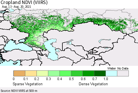 Russian Federation Cropland NDVI (VIIRS) Thematic Map For 8/13/2021 - 8/20/2021