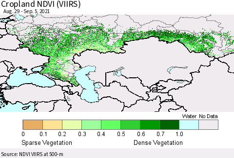 Russian Federation Cropland NDVI (VIIRS) Thematic Map For 8/29/2021 - 9/5/2021