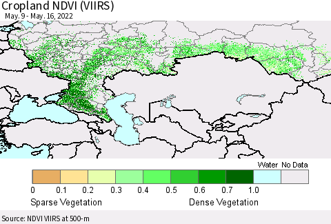 Russian Federation Cropland NDVI (VIIRS) Thematic Map For 5/9/2022 - 5/16/2022