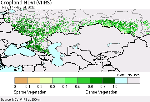 Russian Federation Cropland NDVI (VIIRS) Thematic Map For 5/17/2022 - 5/24/2022