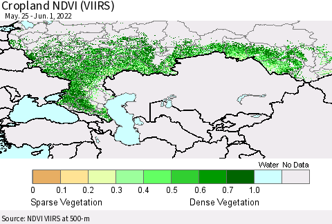 Russian Federation Cropland NDVI (VIIRS) Thematic Map For 5/25/2022 - 6/1/2022