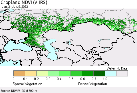 Russian Federation Cropland NDVI (VIIRS) Thematic Map For 6/2/2022 - 6/9/2022