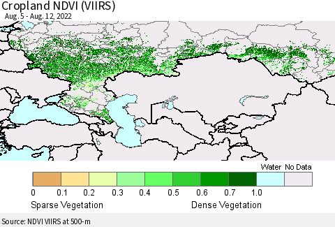 Russian Federation Cropland NDVI (VIIRS) Thematic Map For 8/5/2022 - 8/12/2022