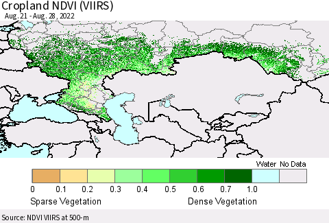 Russian Federation Cropland NDVI (VIIRS) Thematic Map For 8/21/2022 - 8/28/2022