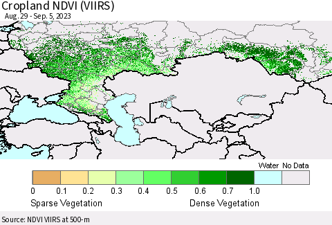 Russian Federation Cropland NDVI (VIIRS) Thematic Map For 8/29/2023 - 9/5/2023
