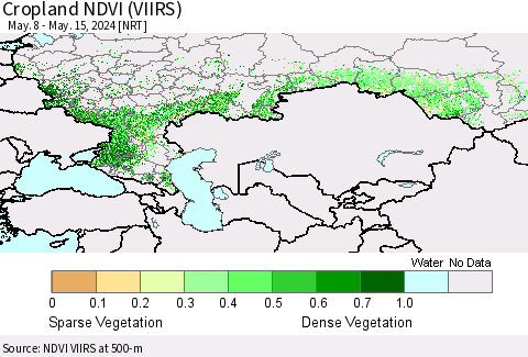 Russian Federation Cropland NDVI (VIIRS) Thematic Map For 5/8/2024 - 5/15/2024