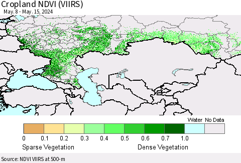Russian Federation Cropland NDVI (VIIRS) Thematic Map For 5/8/2024 - 5/15/2024