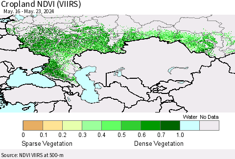 Russian Federation Cropland NDVI (VIIRS) Thematic Map For 5/16/2024 - 5/23/2024