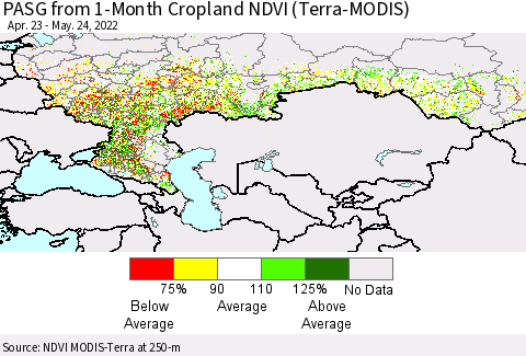 Russian Federation PASG from 1-Month Cropland NDVI (Terra-MODIS) Thematic Map For 5/17/2022 - 5/24/2022