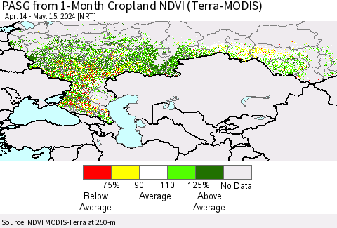 Russian Federation PASG from 1-Month Cropland NDVI (Terra-MODIS) Thematic Map For 5/8/2024 - 5/15/2024